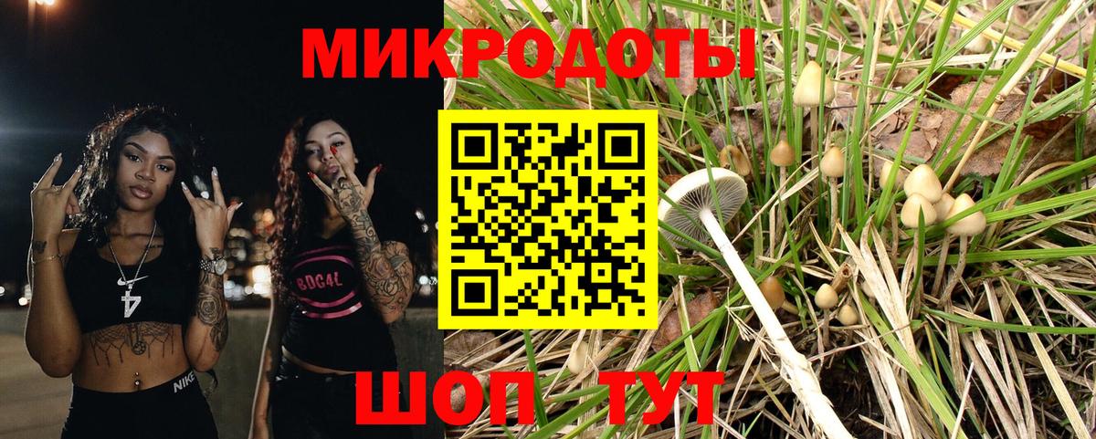 Псилоцибиновые грибы прущие грибы Ейск